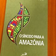 Card. Hummes: "The church must engage in dialogue with all of the actors who hold interests in the Amazon" Card. Hummes: "The church must engage in dialogue with all of the actors who hold interests in the Amazon"
